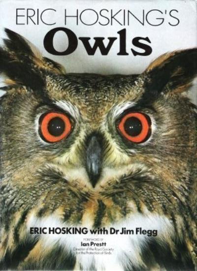 Eric Hosking's Owls