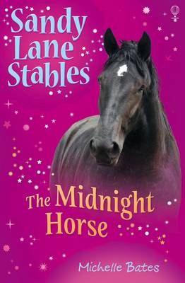 Midnight Horse (Sandy Lane Stables)