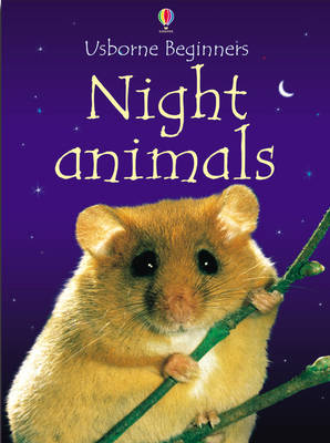 Night Animals (Beginners)