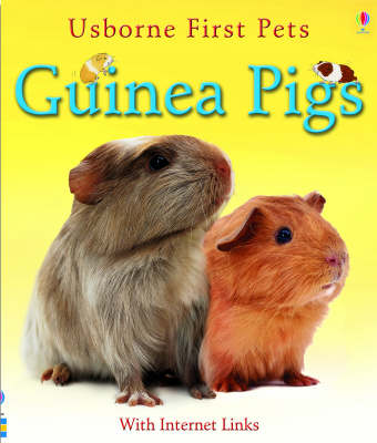 Guinea Pigs (First Pets)