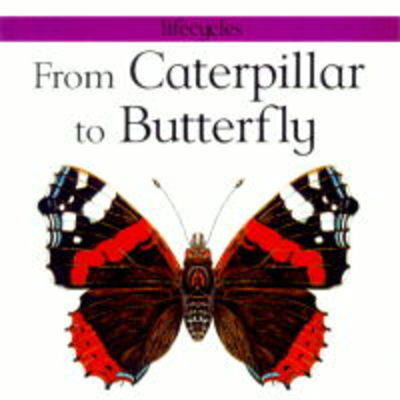 From Caterpillar to Butterfly (Lifecycles)