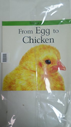 From Egg To Chicken (Lifecycles)