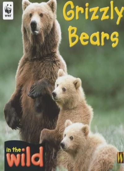 Grizzly Bears (In the Wild)