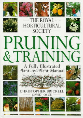 RHS Pruning & Training