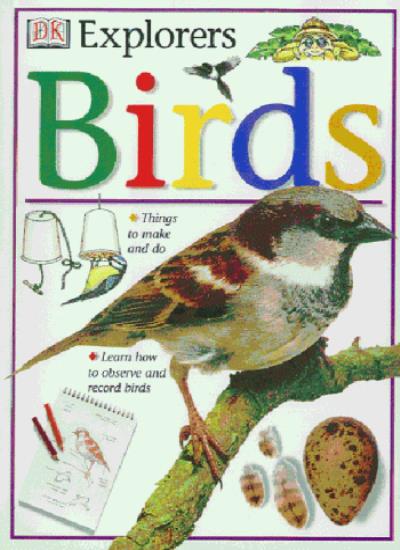 DK Explorers Birds (Eyewitness Explorers)