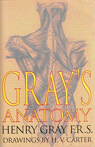 Gray's Anatomy