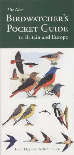 Birdwatcher