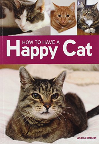 How to have a Happy Cat