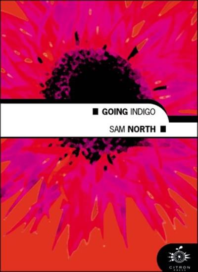 Going Indigo