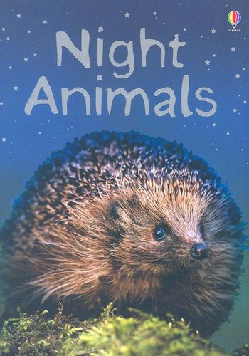 Night Animals: Level 1 (Beginners)