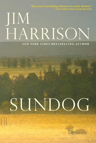 Sundog