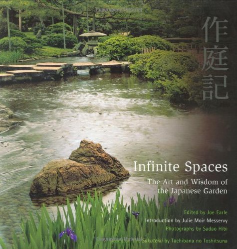 Infinite Spaces