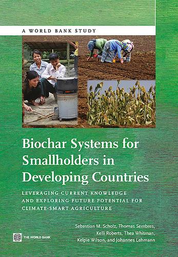 Biochar Systems for Smallholders in Developing Countries