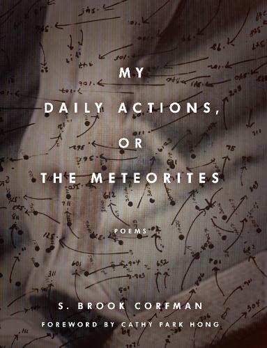 My Daily Actions, or the Meteorites