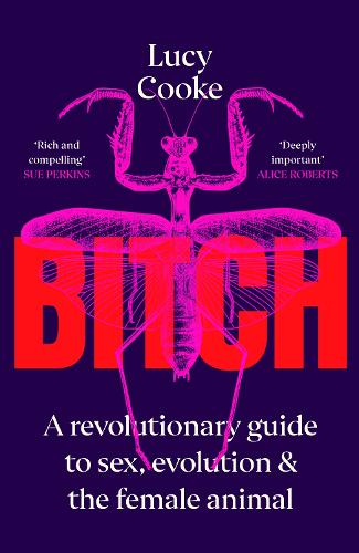 Bitch