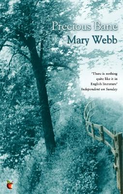 Precious Bane (Virago modern classics)
