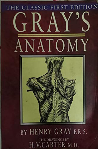 Gray's Anatomy