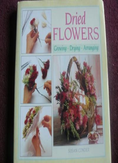 DRIED FLOWERS