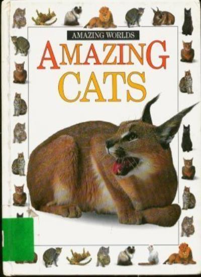 Amazing Cats