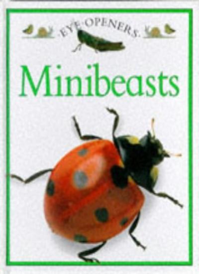Minibeasts.Eye Openers