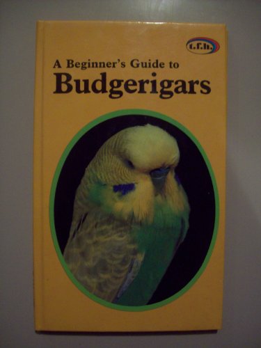 A Beginner's Guide to Budgerigars