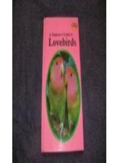 A Beginner's Guide to Lovebirds