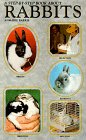 Step-by-step Book About Rabbits