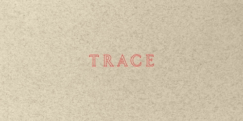 Jenny Holzer: Trace
