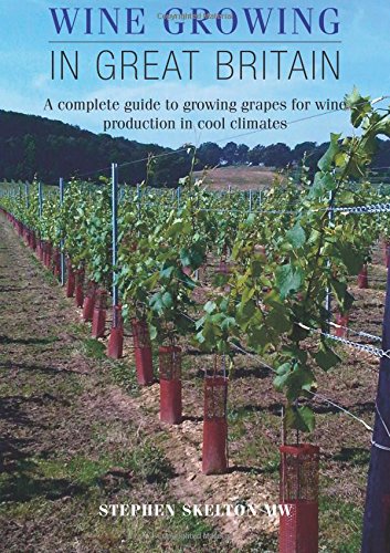 Wine Growing in Great Britain
