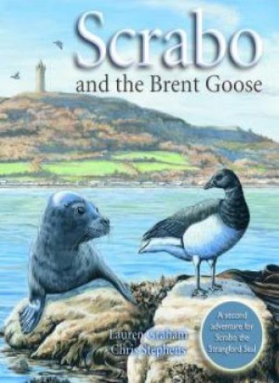 Scrabo and the Brent Goose