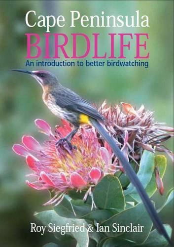 Cape Peninsula birdlife