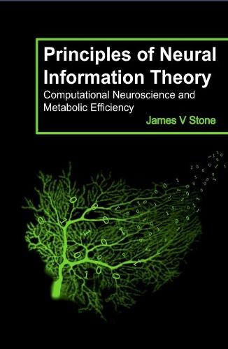 Principles of Neural Information Theory