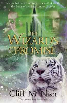 The Wizard's Promise