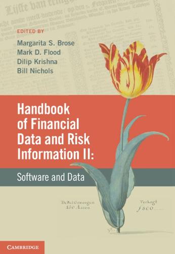 Handbook of Financial Data and Risk Information II: Volume 2