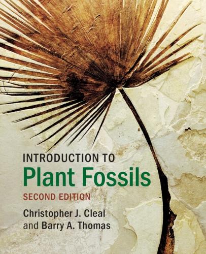 Introduction to Plant Fossils