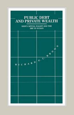 Public Debt and Private Wealth