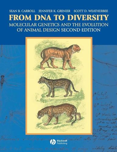 From DNA to Diversity