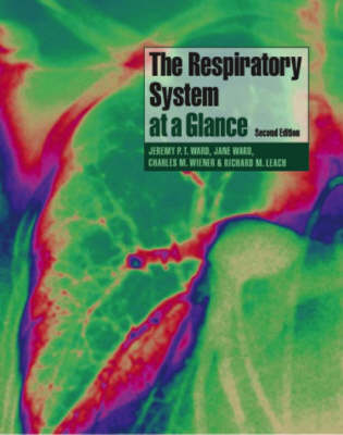The Respiratory System at a Glance