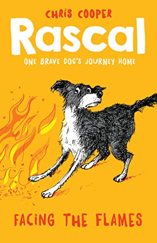 Rascal: Facing the Flames: 4