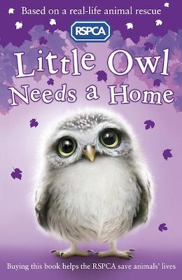 Little Owl Needs a Home: 5 (RSPCA)