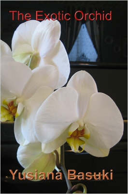 The Exotic Orchid