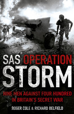 SAS Operation Storm: Nine Men Against Four Hundred