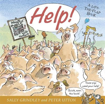 Help!: Lift-the-Flap Book
