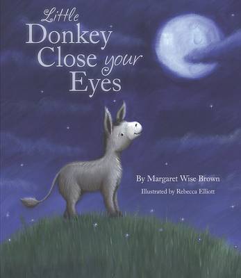 Goodnight Little One (Picture Book)