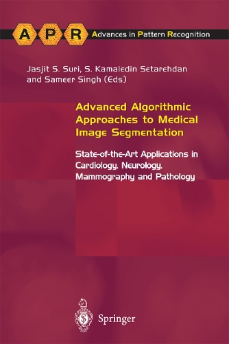 Advanced Algorithmic Approaches to Medical Image Segmentation