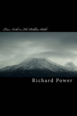 True North on The Pathless Path