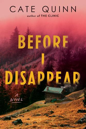Before I Disappear: A Novel