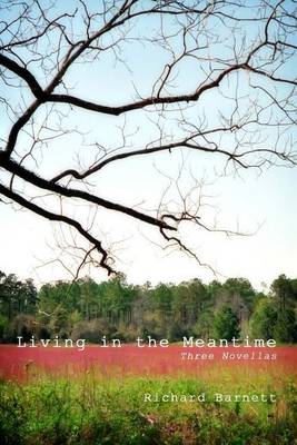 Living in the Meantime