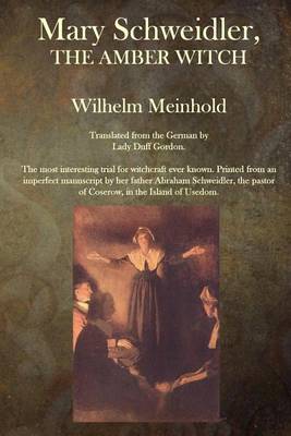 Mary Schweidler, The Amber Witch