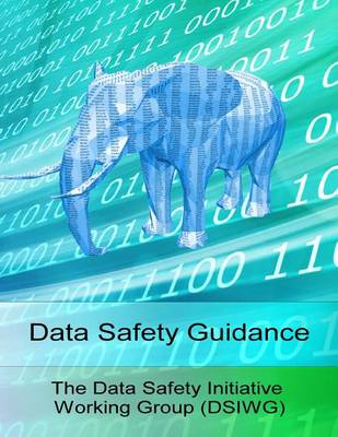 Data Safety Guidance